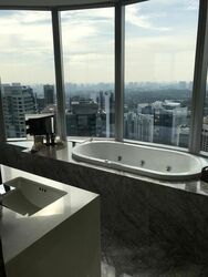 The Orchard Residences (D9), Apartment #460856881